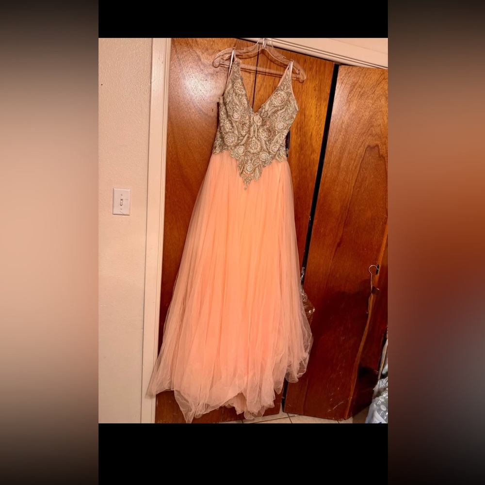 Elegant Peach and Silver Gown